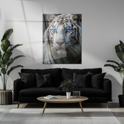 Blue-Eyed White Tiger Glass Wall Art – Fierce Wildlife Portrait with Striking Gaze-KAFCD016