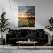 Sunset Sunflower Field Glass Wall Art – Warm Nature Landscape UV Print-KAFCD032