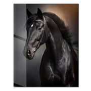 Elegant Black Horse Portrait UV Glass Wall Art – Majestic Equestrian Design-KAFCD065
