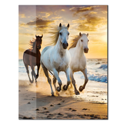 Running Horses at Sunset UV Glass Wall Art – Majestic Beach Gallop Scene - KAFCD095