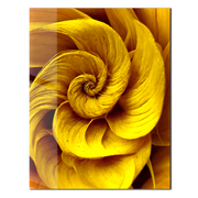Golden Spiral Bloom – Abstract Yellow Floral UV Glass Wall Art - KAFCD097